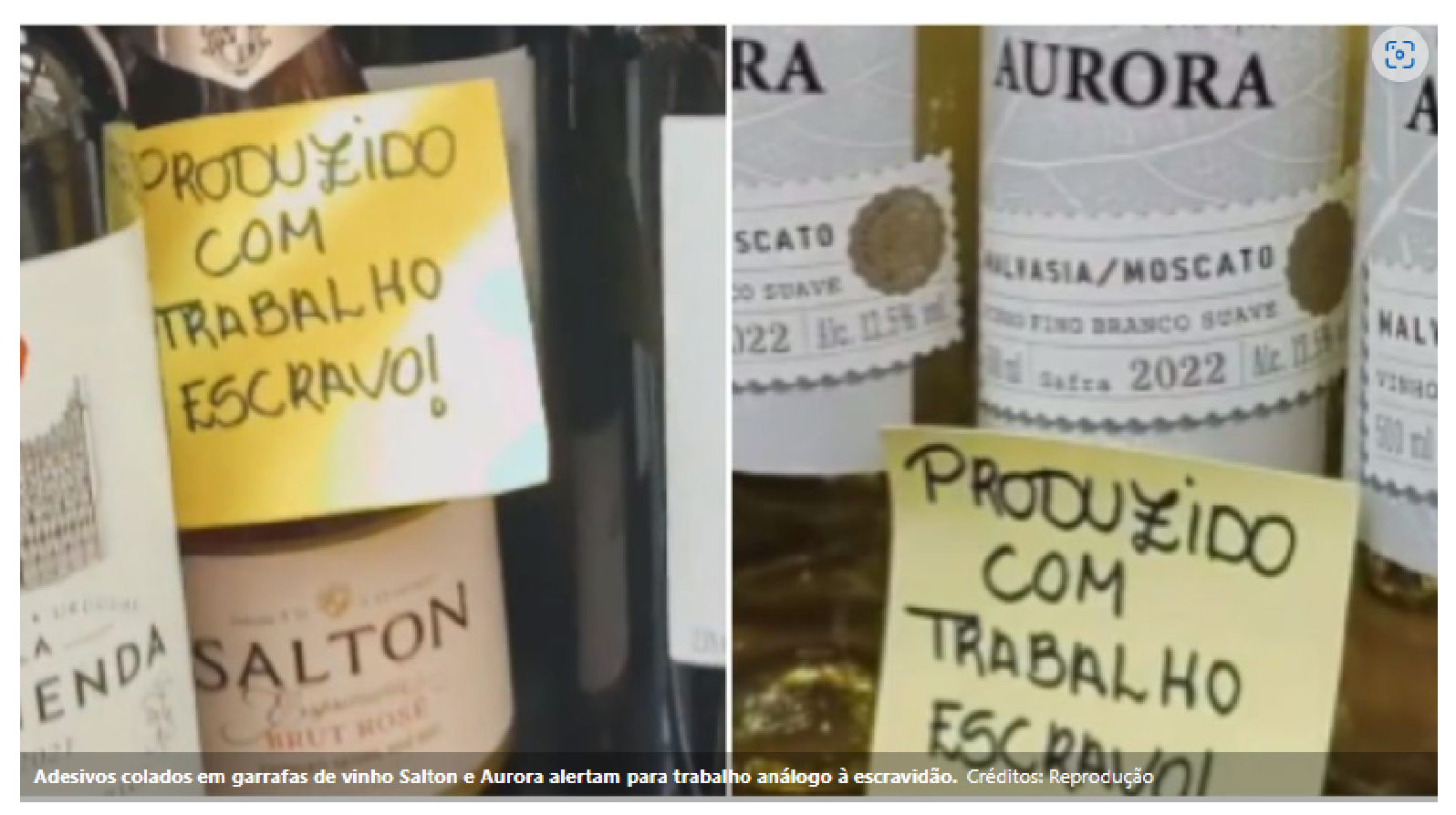 VÍDEO: Em Porto Alegre, vinhos Salton, Aurora e Garibaldi recebem selo de trabalho escravo