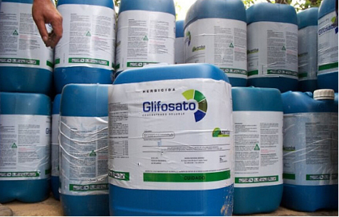 Glifosato: Como a Monsanto Impôs Substância Cancerígena à Agricultura e por que seu Uso não é Proibido no Brasil