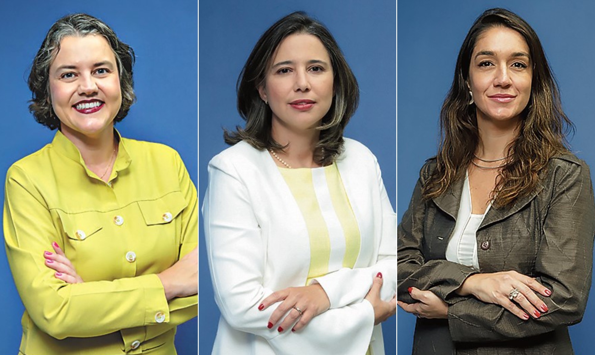 A Crônica Sub-representação no Ato Discricionário do Poder